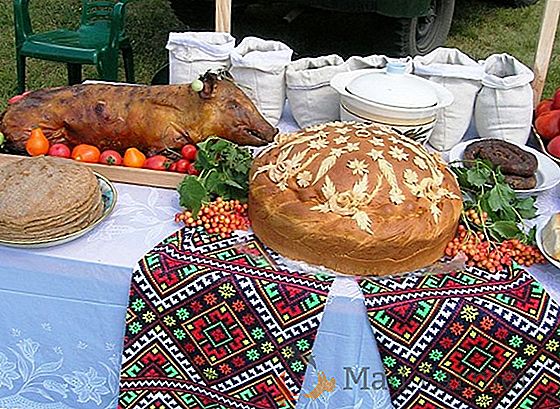 Sedanji, beloruski krompir "Lilya": sorta opis in skrb taktike