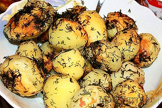 Vrijeme-testirani krumpir "American": opis sorte, fotografija, karakterističan