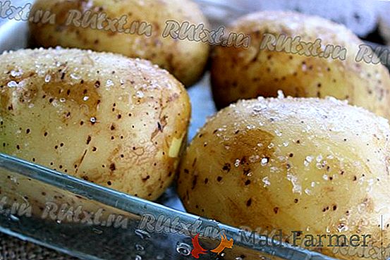 Časovo testované zemiaky "Rozana": popis odrody, fotografie, charakteristiky