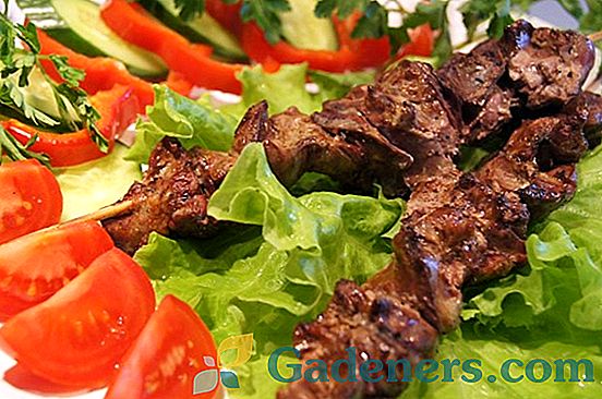 Јерменска кухиња: најбољи рецепти за печење
