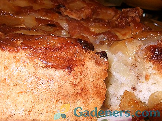Начало шарлата с ябълки и стафиди: рецепти за печене във фурната и мулти-маркер