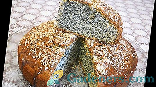 Recepty lahodných chlebů pro páry v rožku