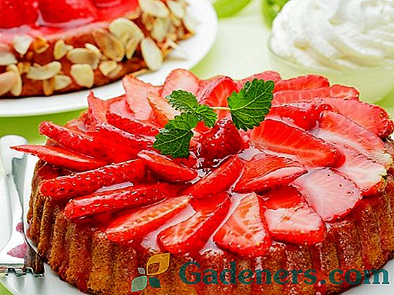 Бързи и вкусни десерти, приготвени с ягоди без изпичане