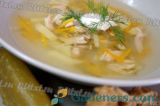 Rassolnik: paslaptys ir galimybės virti skaniai sriuba