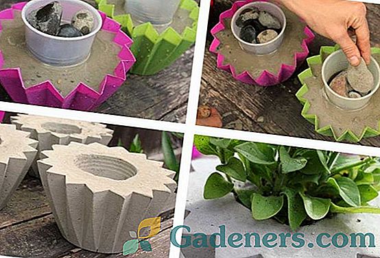 Vázy pro květiny: originální nápady pro vlastní produkci