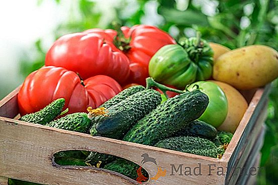 Vídeo: Como manter legumes e frutas frescas por muito tempo? Conselhos de um vendedor experiente