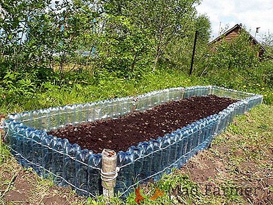 Video: camas interesantes o cómo hacer una caja