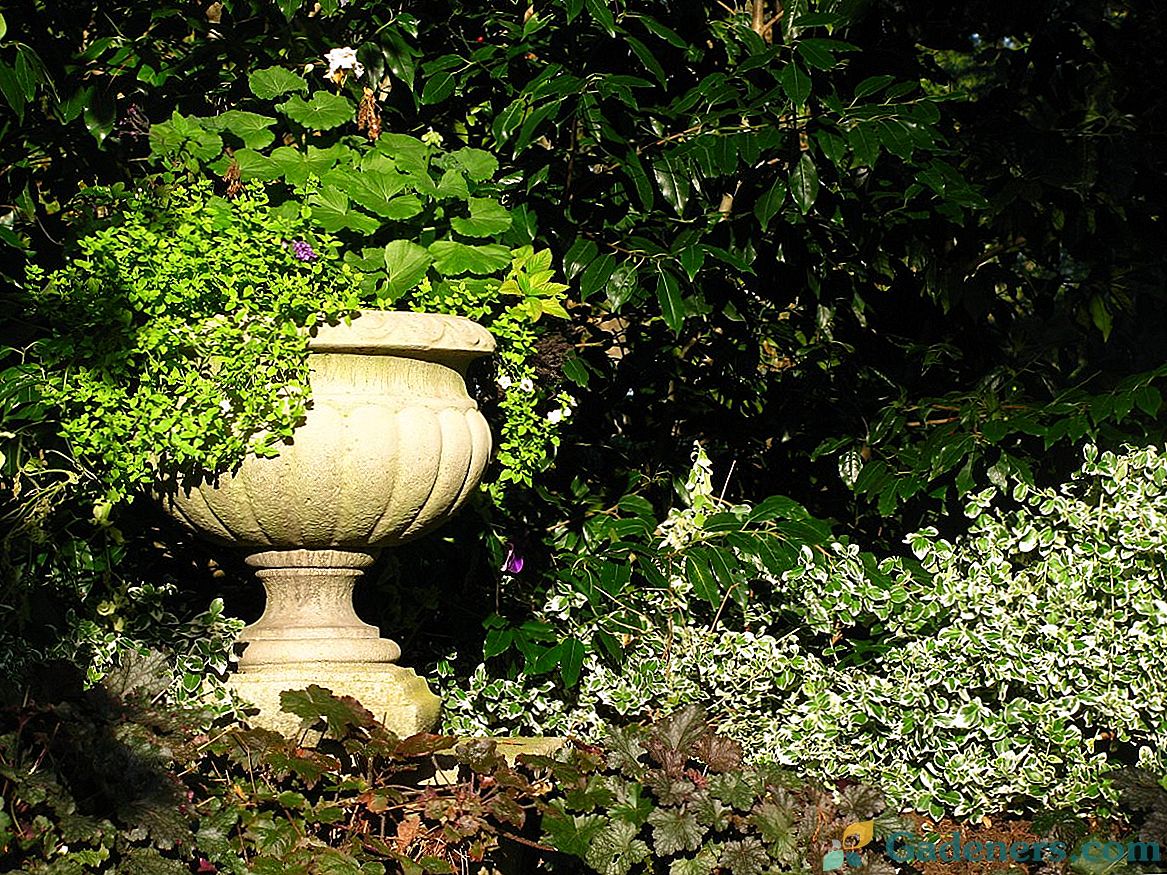 10 načina dodavanja svjetla u sjenovitim kutovima vrta