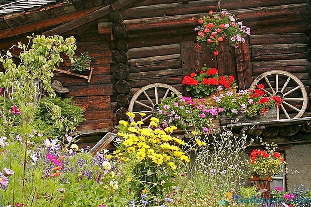10 pagrindinių Šveicarijos sodo elementų