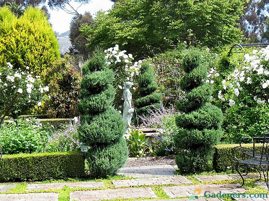 10 základných častí francúzskej záhrady