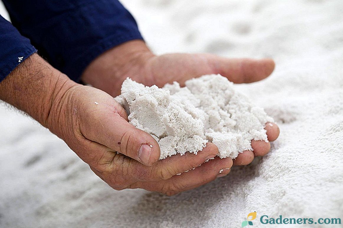 10 pytań i odpowiedzi na temat mąki dolomitowej