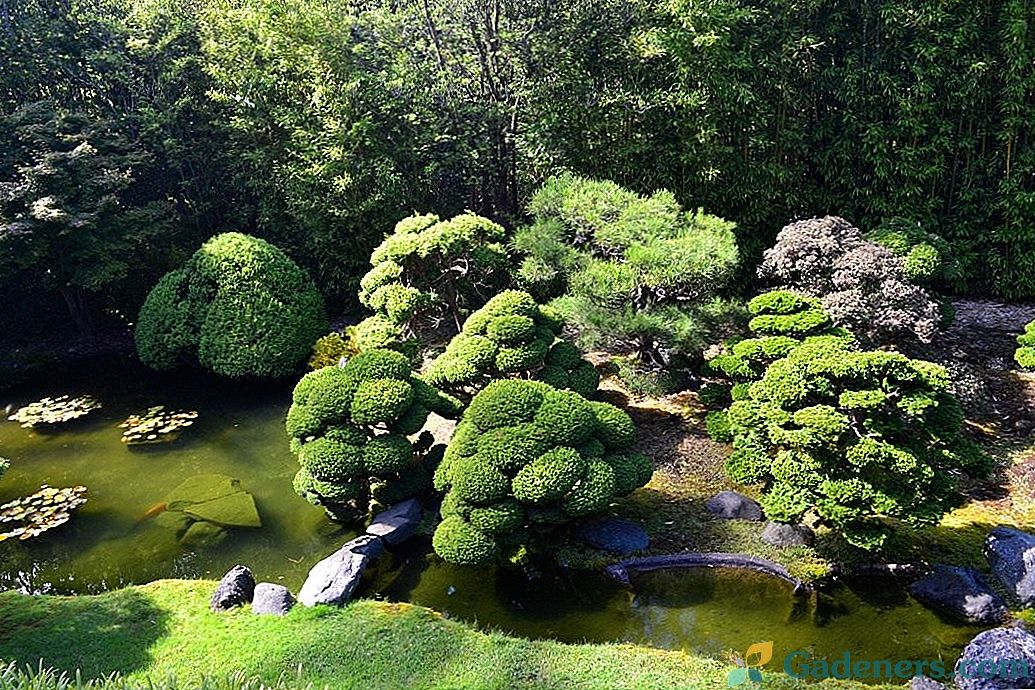 12 тајни аутентичности за угао у духу јапанске баште