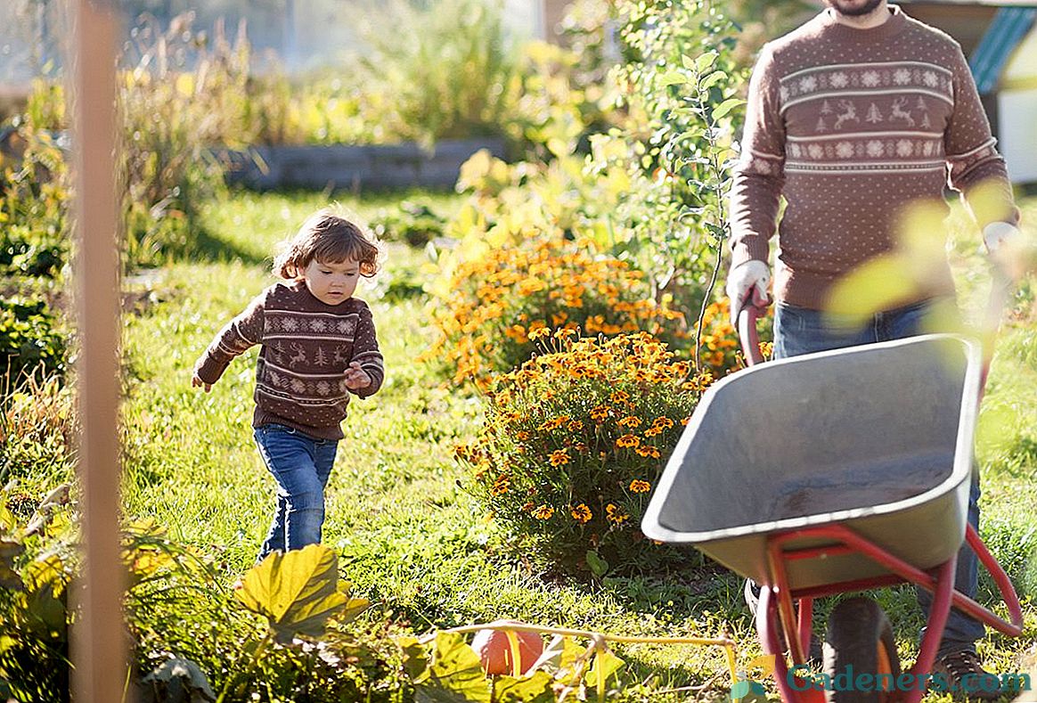 7 съвета за подготовка на вашата градина за зимата