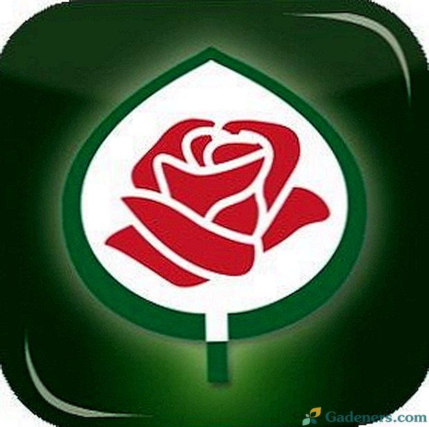 Розы со знаком adr список и фото