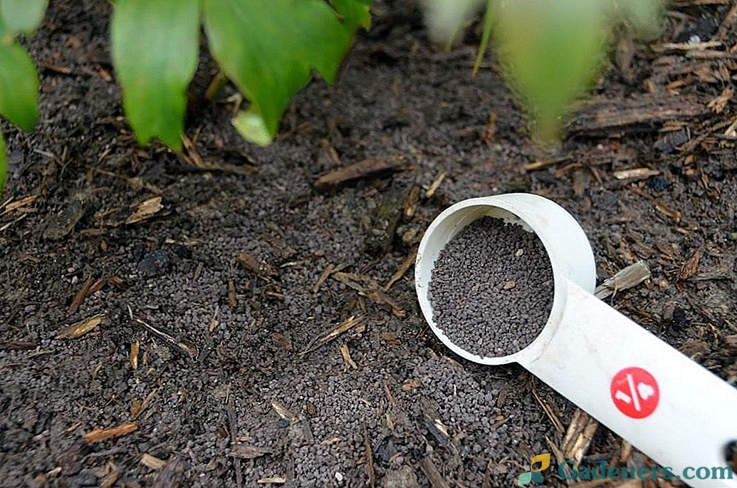 Prva pomoć za tlo, ili Kako odabrati ispravno gnojivo?