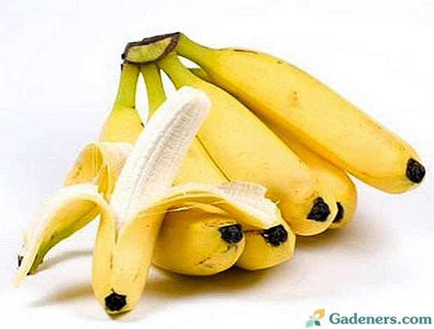 Banana za radost vas