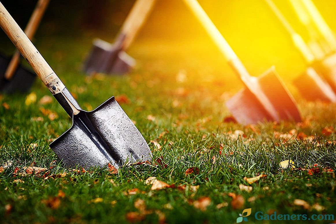 Как да замени лопата в градината? 7 полезни инструмента