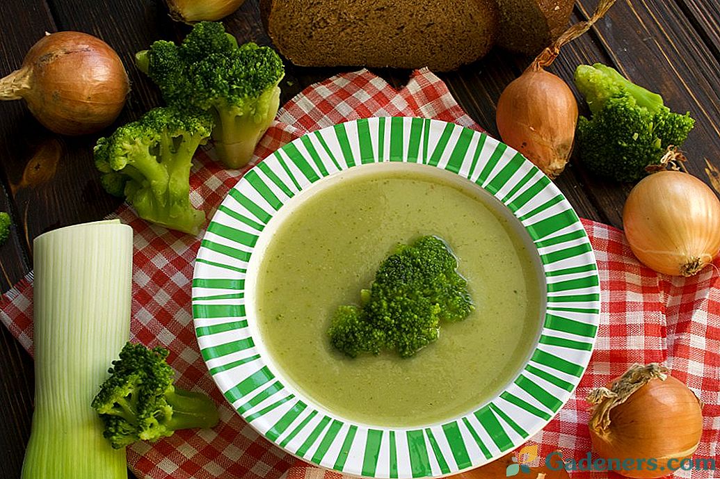 Brokolių dietos sriuba