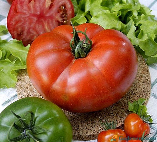 Pro každý typ rajčat - jeho kulinářský cíl
