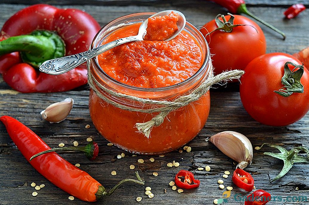 Domowej roboty ketchup robić od świeżych pomidorów i dzwonkowych pieprzy