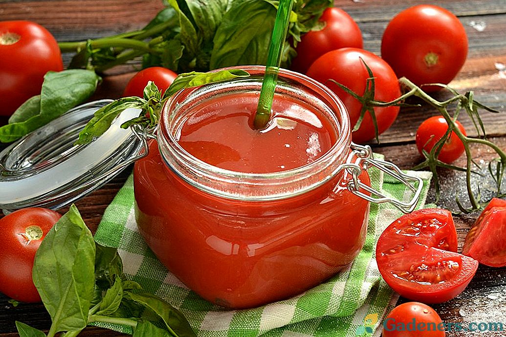 Domaći sok od rajčice u miješalici