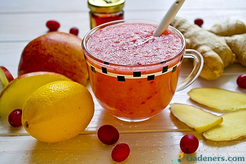 Cranberry Fruit Smoothie - vitamīnu kokteilis
