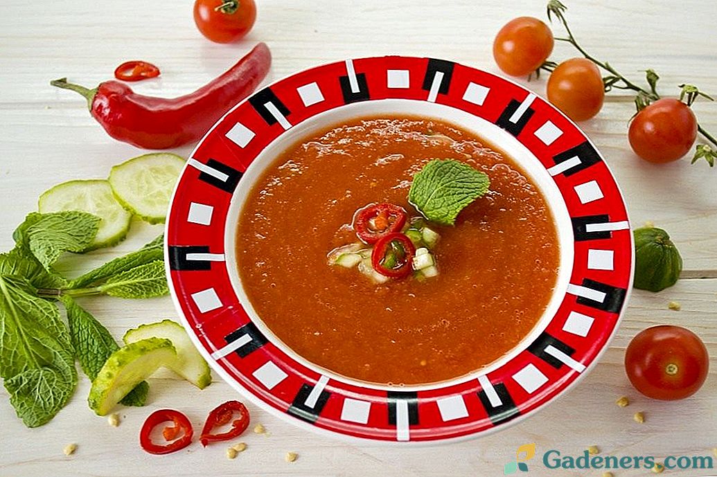 Gazpacho - auksta tomātu zupa