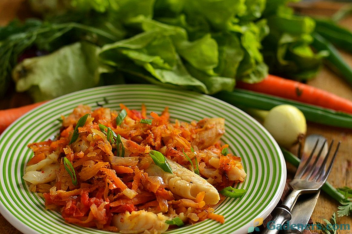Zeleninový štikozubec - ryby pro nízkokalorické, ale chutné menu