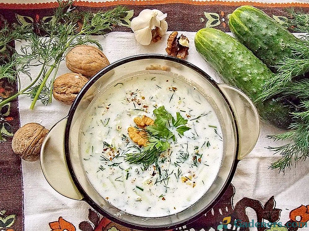 Хладна супа - Таратор