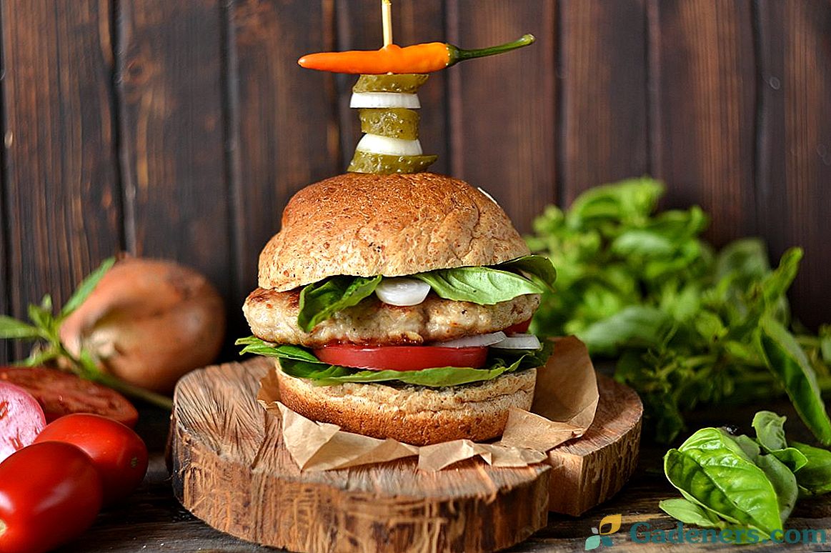 Perfektný burger - Ako si vyrobiť Burger Cutlets