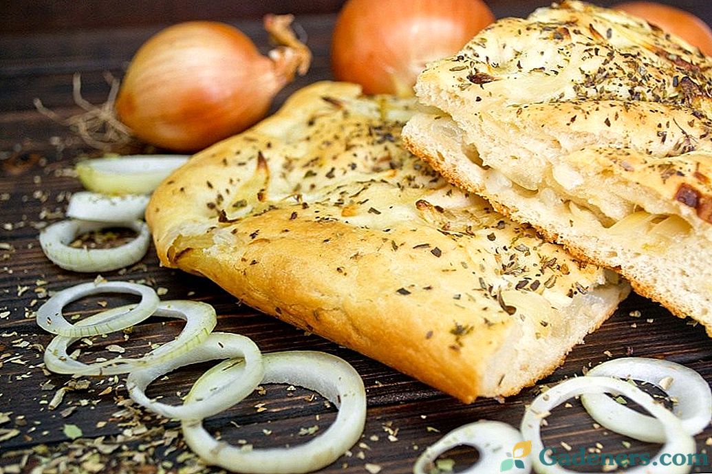 Italská focaccia - pórový chléb s cibulí