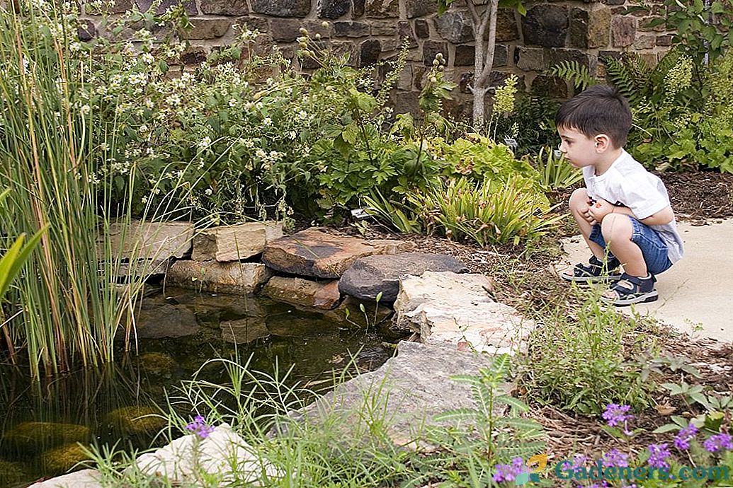 Ako urobiť rybník bezpečný pre deti?