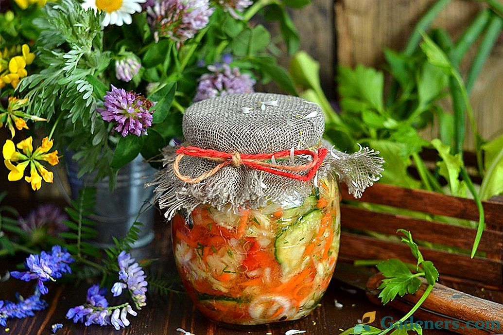 Капустяний салат на зиму з огірками та помідорами
