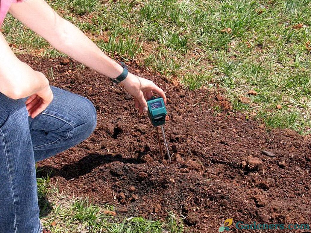 Kwasowość gleby - jak rozpoznać i odtlenić