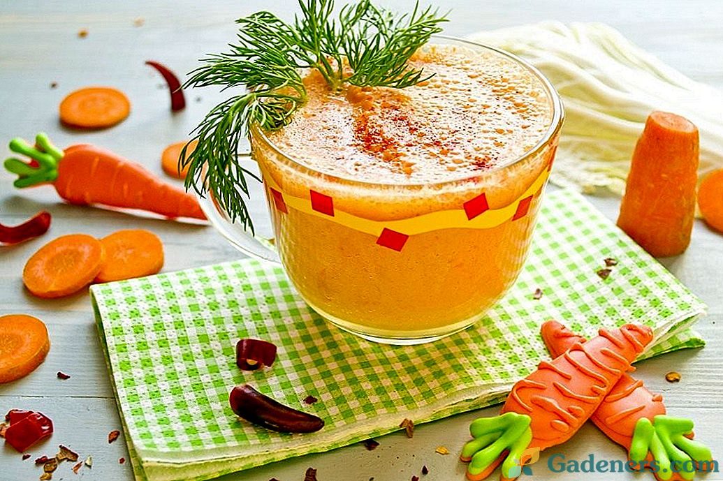 Hangover koktejl - zeleninový smoothie s horkým pepřem a řeckým jogurtem