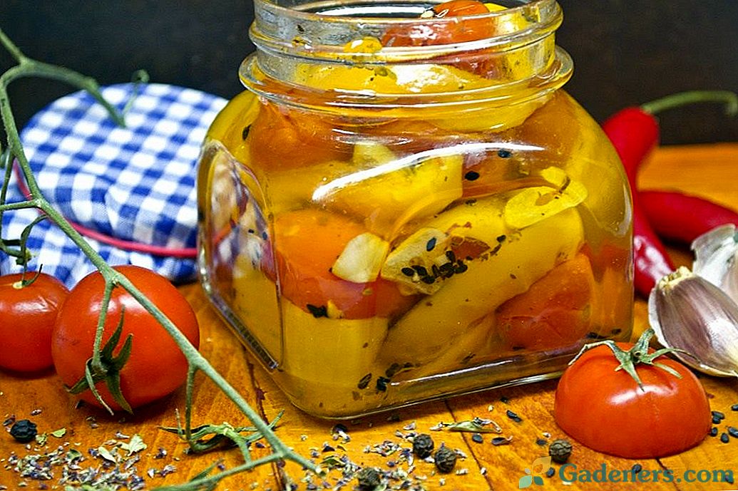 Žltá paprika confit s cherry paradajkami