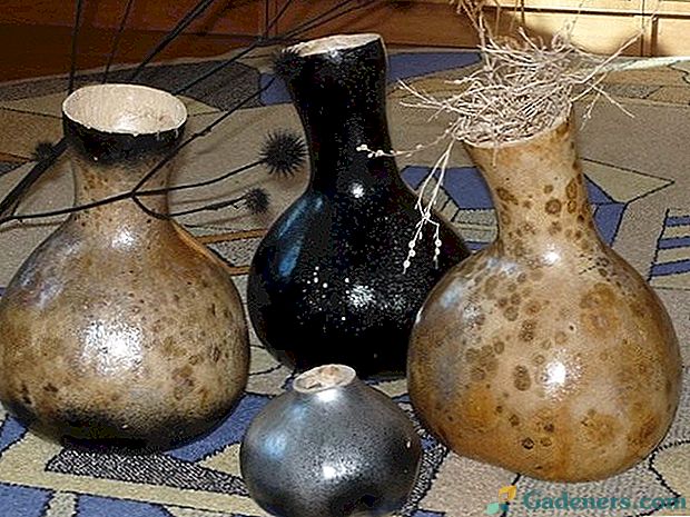 Конкурс: Декоративні вази з гарбуза
