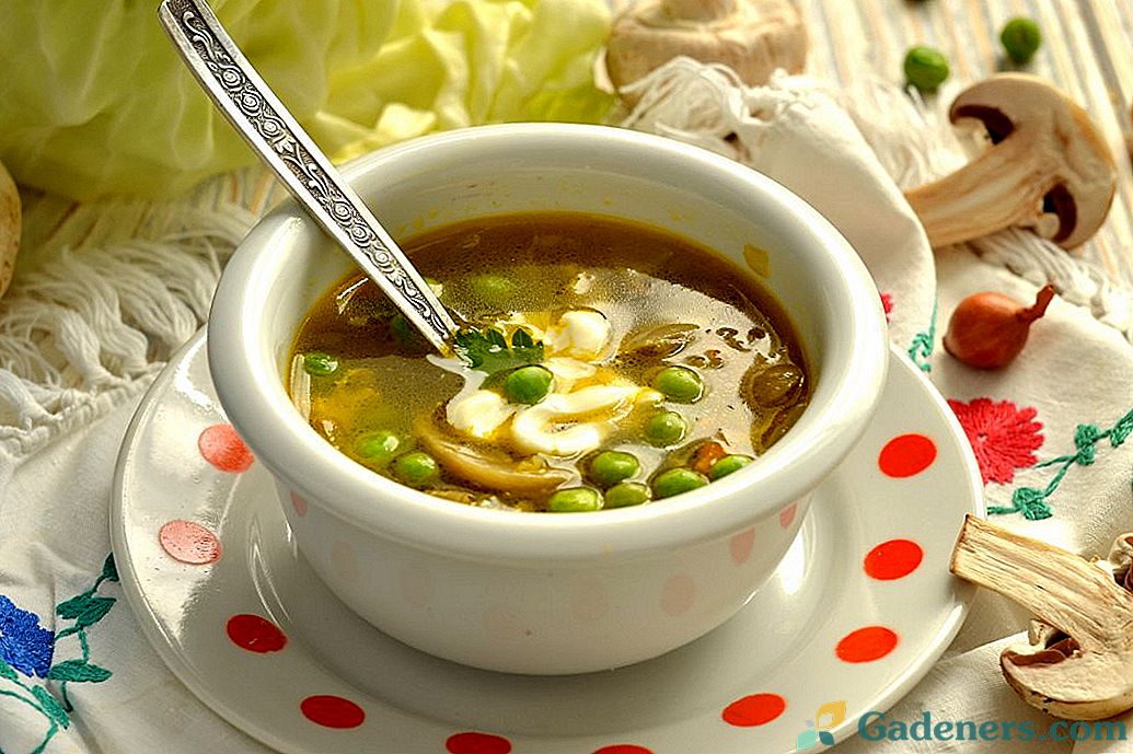 Zupa z kurczaka z zielonym groszkiem i grzybami