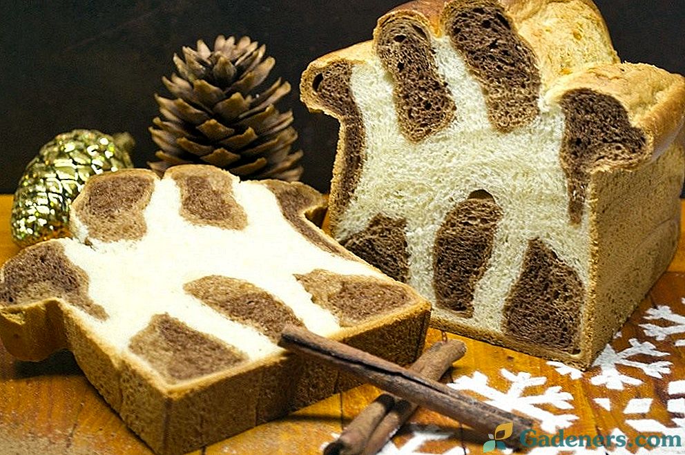 Leopard brioche - saldus duona Kalėdoms
