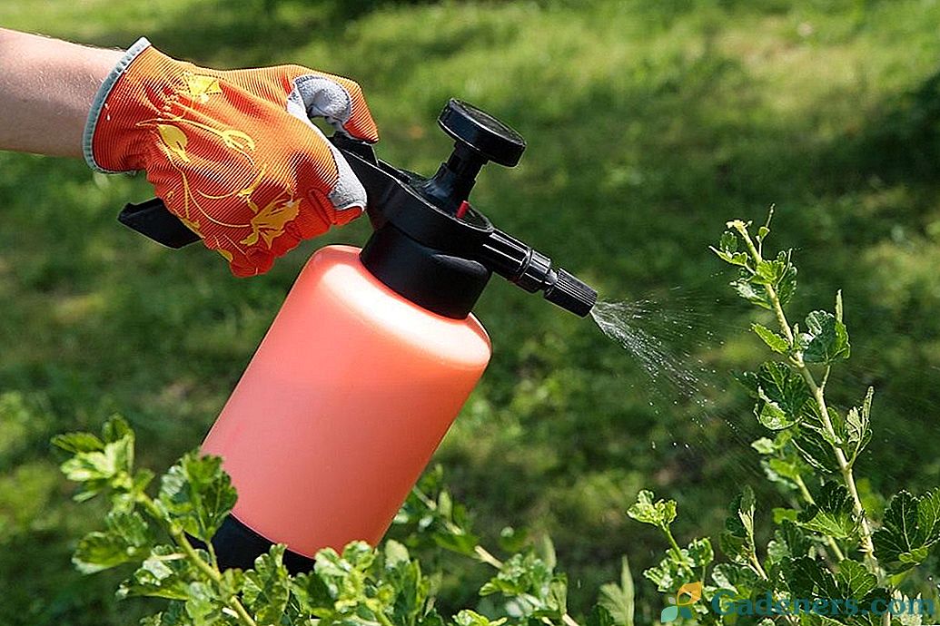 Obdelava poletnega vrta z biološkimi proizvodi iz škodljivcev