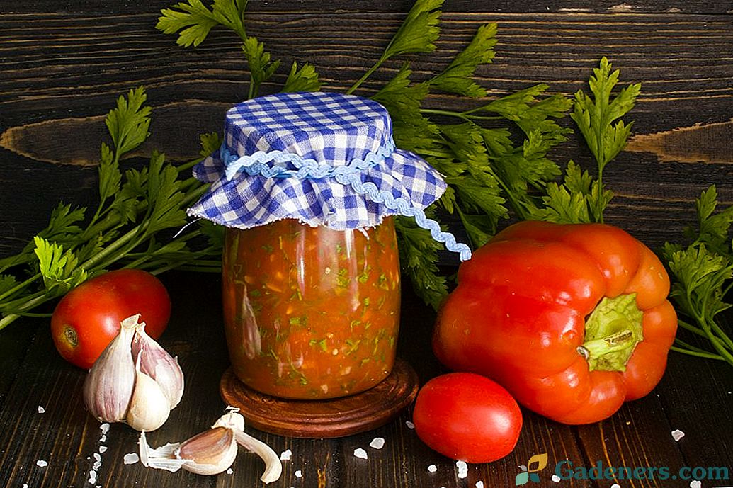 Lyuttenitsa - bulgarų pipirų ir pomidorų padažas