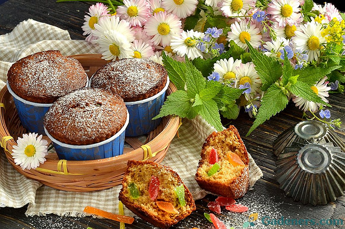Kandijani muffini