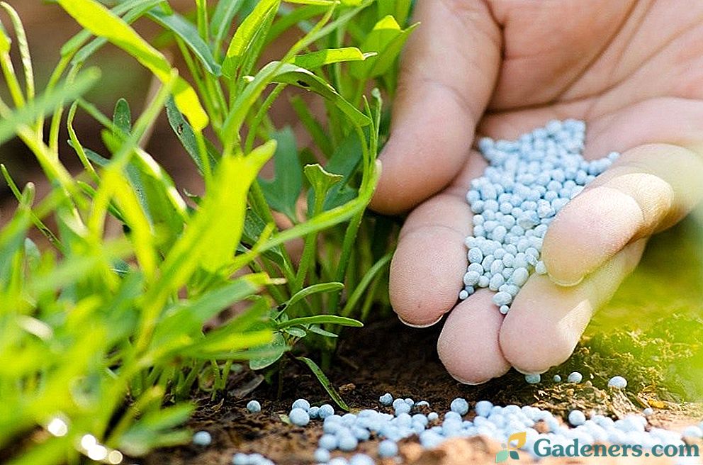 Mineralna gnojiva: vrste, pravila uvođenja