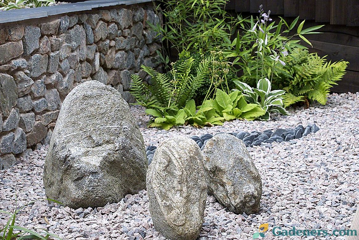 Mini rock vrtovi u vrtu - načine organiziranja i odabira biljaka