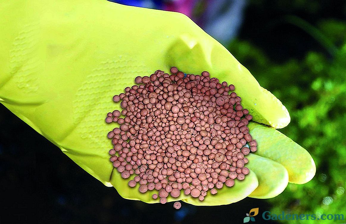 Nitroammofosk - jak používat hnojivo správně?