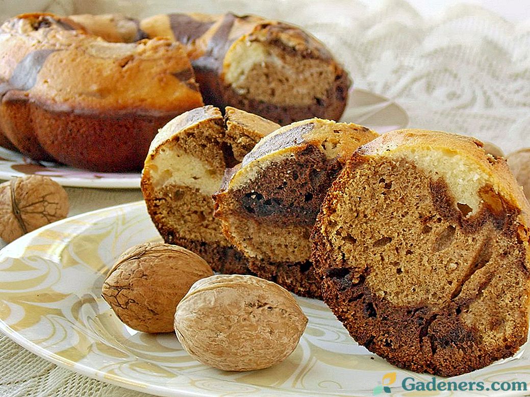 Orechový čokoládový muffin