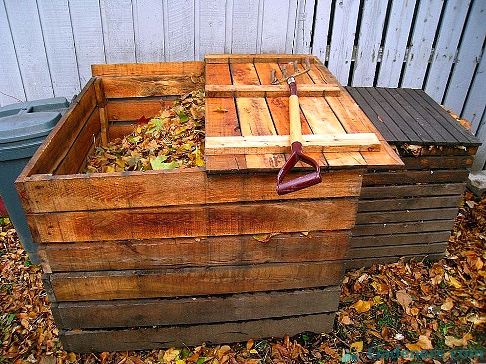 Есенна компост - богата градина гаранция