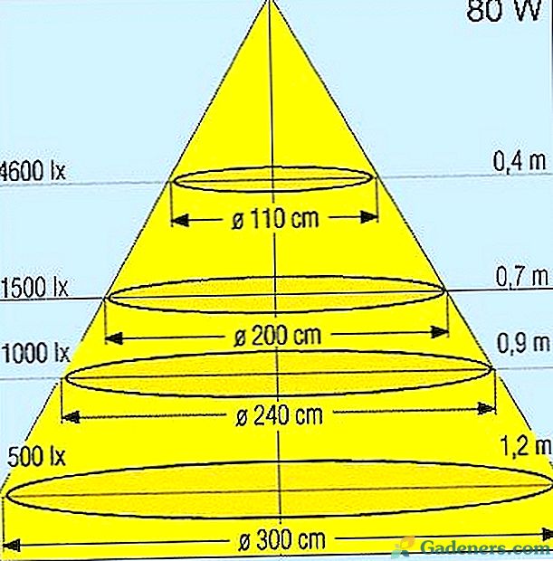 Площадь освещения светильника. Зависимость светового потока от освещенности. Уровень освещенности для растений. Зависимость освещенности от мощности лампы.