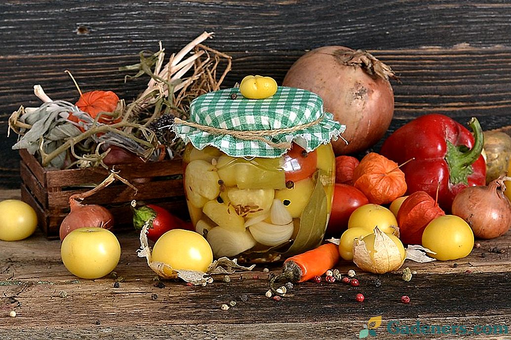 Зеленчуков плат за зимата с Physalis, чушки и домати