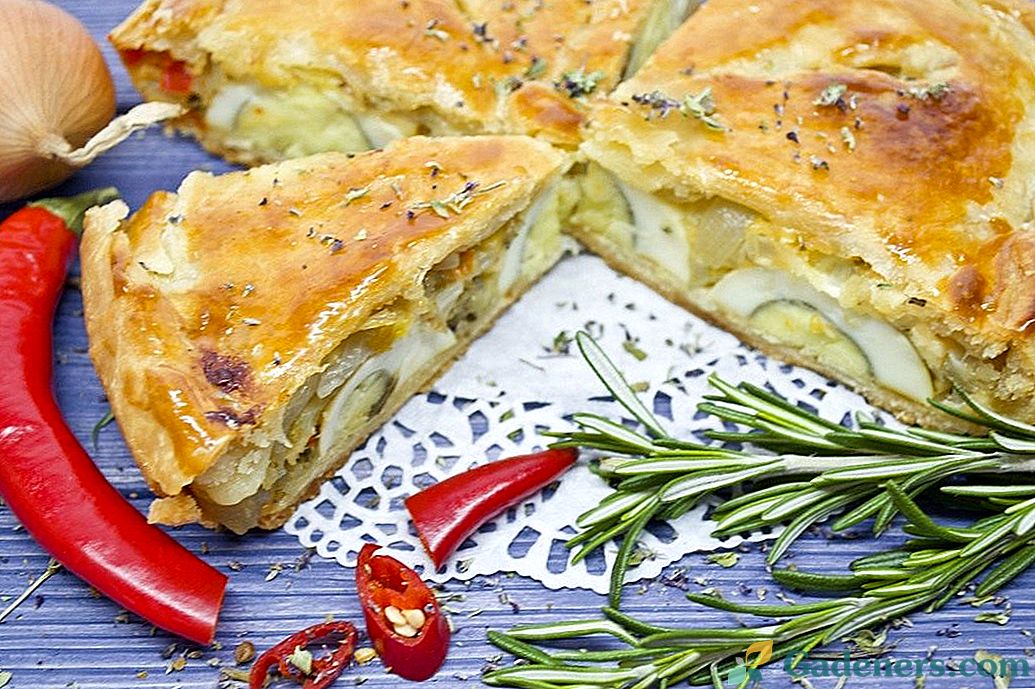 Svogūnų pyragas - klasikinis Provence